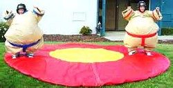 Sumo ring pro dospělé – pronájem atrakcí Vinelan